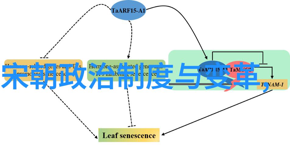 明朝继明成祖之位的君主朱祁镇