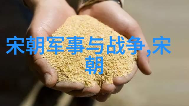 在历史上有哪些著名的小朝廷值得我们特别关注和研究