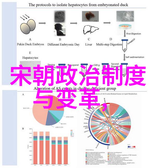 博果尔的娘与大玉儿的亲情纠葛探索中世纪奇幻世界中的女性友谊