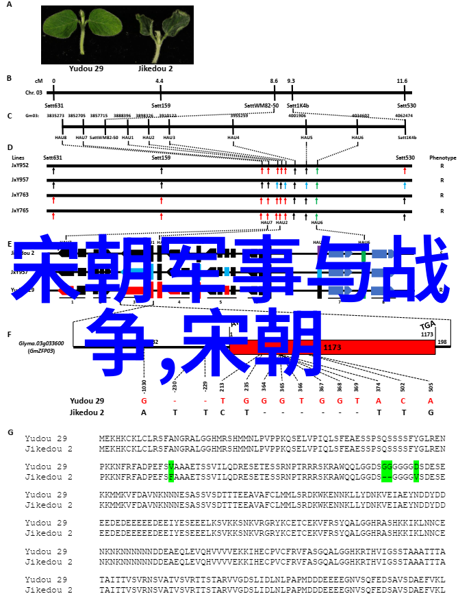 明朝历史-南京的三次荣耀明朝几个时期为何将其设立为都城