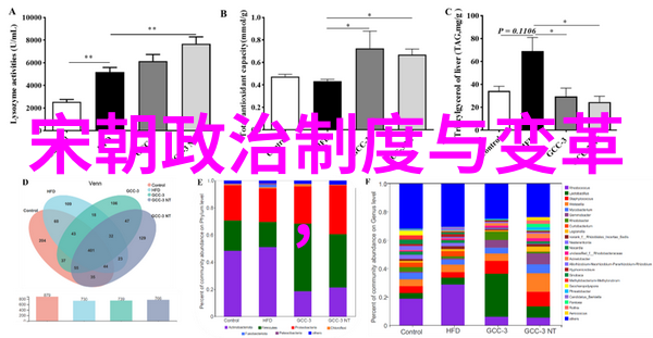 宋朝趣闻录探索历史中隐藏的传奇与逸事