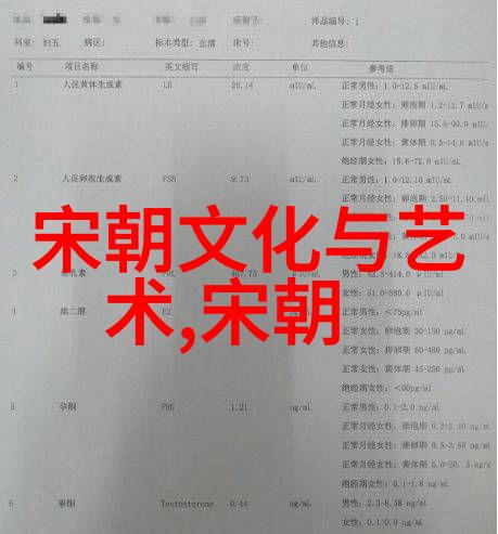 元朝璀璨探索忽必烈窦娥和其他名人的传奇故事