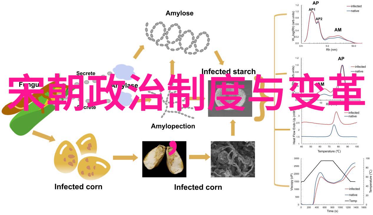 床上搏击双人床的打扑克挑战