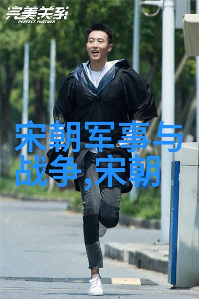 元朝征服与融合外族入侵还是文化交汇