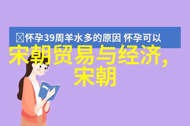 宋代辉煌技术文化与政治的双重奏鸣