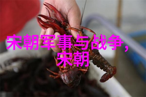 麻婆豆腐传媒揭秘视频免费之谜