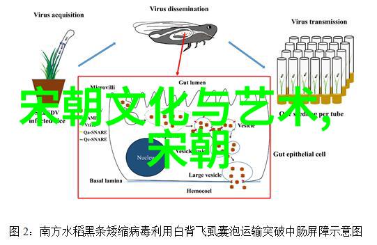 海底奇遇扇贝之谜与开放式捕捞的后果