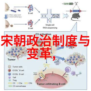 哪个朝代灭亡最惨明朝的末日烽烟四起江山社稷尽失